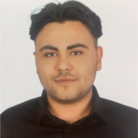 Mert Erden