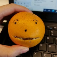 宋思佳