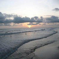 Amusing Ocean