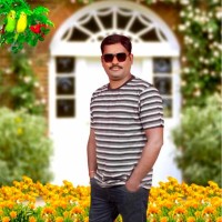 Mani Gandi