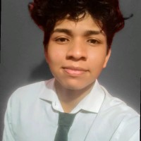 João Henrique Rodrigues Dos Santos