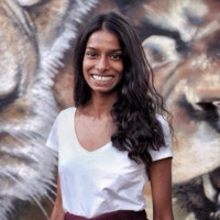 hasitha ratnayake