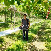 Andrés Entrena Ayén