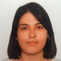 Anid Rivera Bardales