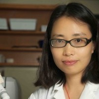 Min (Clara) Wang