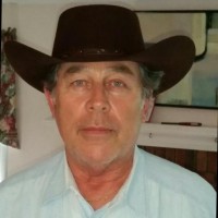 Dave Watkins