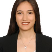 Aysun Polat Kavcı
