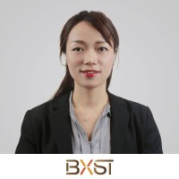 SammiYe Voltageprotector