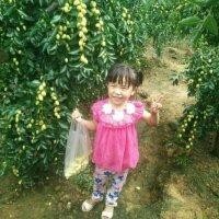 文葵艳