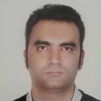 Amir Mirzaey