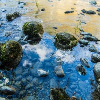 Just One Click - Photography + Design