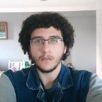 Marcelo Vinicius Da Luz Borges