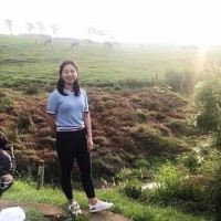 Zhang Xinxin