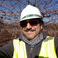 Walter Parada Borquez