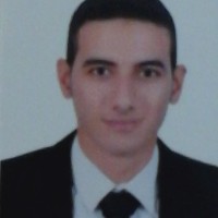 Mohamed Abdelmordy