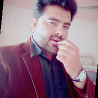 syed naseeb ul hassan