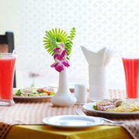 Four Star Hotel in Nepal