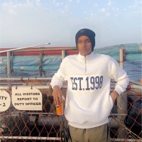 Ahmed Elmoustapha