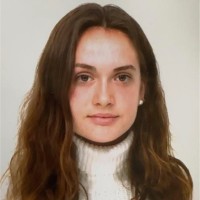 Artemis Boti