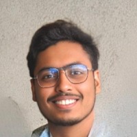 Ayan Roy