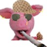 Boet Van Bakel