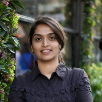 Vinutha B V