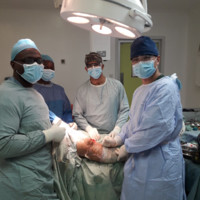 Royston Adonis adonis