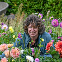 Elsbeth Van Der Schelde