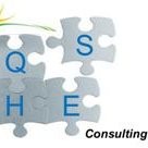 qhse consulting