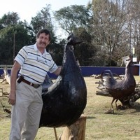 Danie Steyn