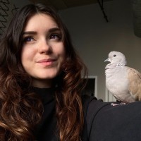 Brianna O'Keefe