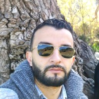 TOUFIK ABBAS