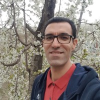 Seyed Ali Atyabi
