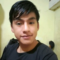 Ronald Mamani