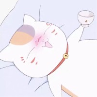 王小刚