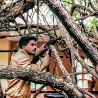 Dwarak Reddy