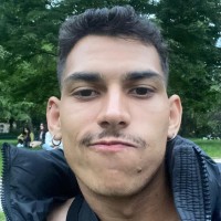 Matheus  Henrique da Silva Martins