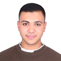 abdelmonem Elsayed
