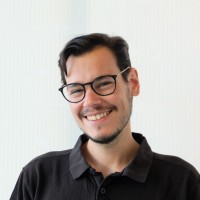 Renato Domingues, Phd