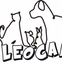 Leonardo Mastracchio