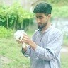 Junii Junaid