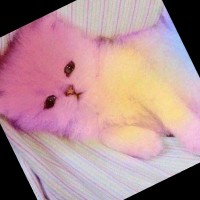 SWEET betzi LOVE
