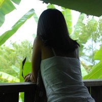 Hanh Trinh Thi