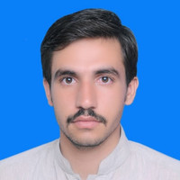 Shahwazir Safi