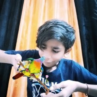 Bittu Kumar