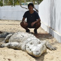 Fabrizzio Revilla Mora