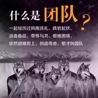 李晓旭