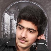 Hamza Malik Hs