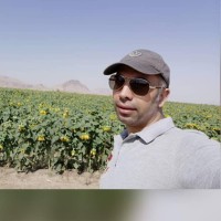 Mohammad Reza Norouzi