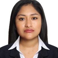 Leslie Nicole Anccasi Martinez